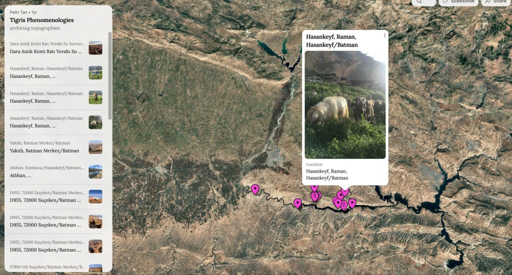 Tigris Phenomenologies online media archive