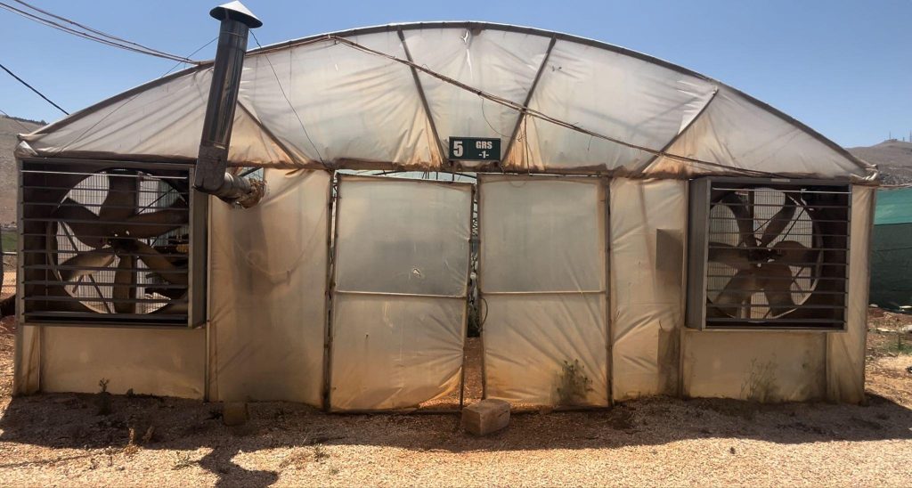 Icarda Seed Centre, Bekaa Valley